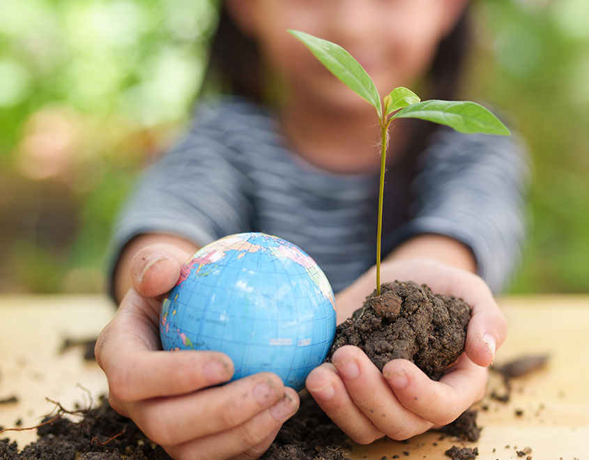 Teaching Kindergarten Kids about Sustainability
